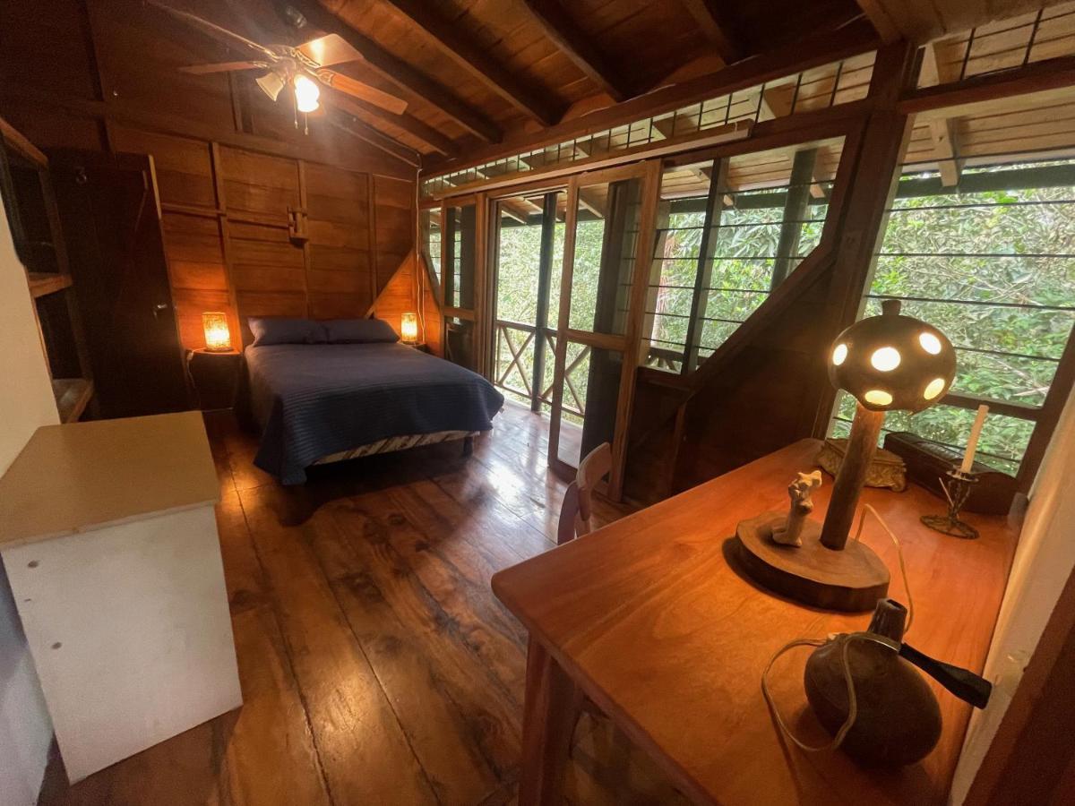 Caoni Riverside Lodge Puerto Quito Exterior foto