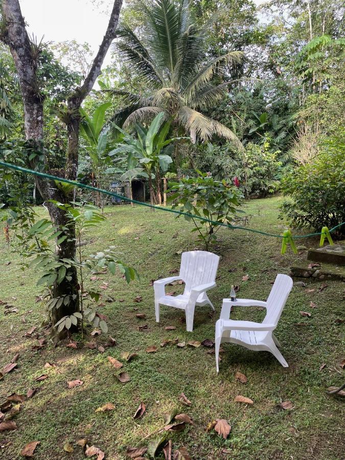 Caoni Riverside Lodge Puerto Quito Exterior foto